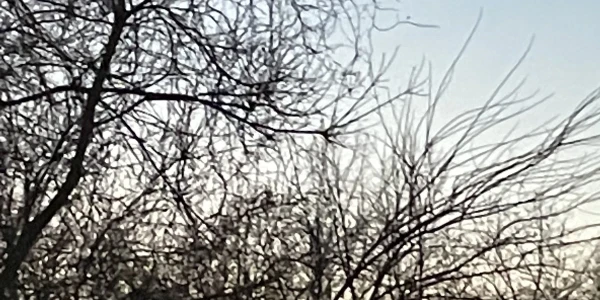 Four Winds Hospitals